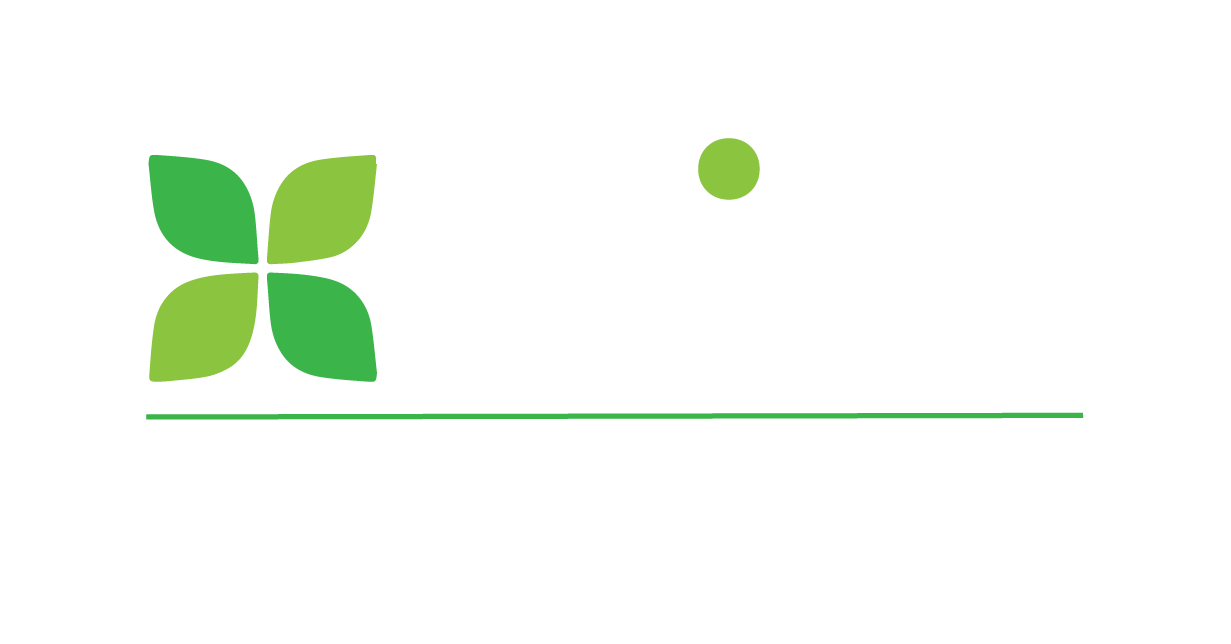 Mint Bookkeeping